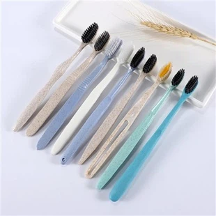 Biodegradable Toothbrush