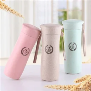 Eco Friendly Water Bottle