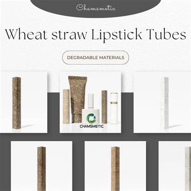 Packaging Material Technology | Essential Insights for Mold Testing of Packaging Material Molds