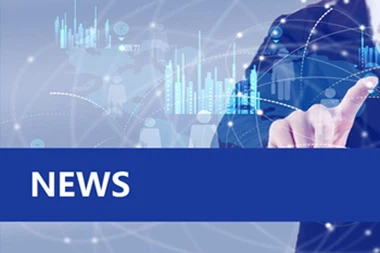 What Is The Quality Of Wheat Straw Tableware?