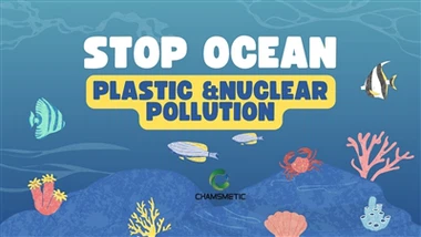 Protecting Our Oceans: Join The Movement For A Cleaner Future